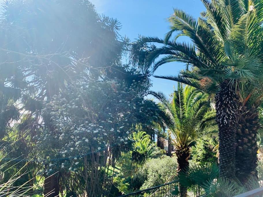 Le Port Tamaris Appartement La Seyne-sur-Mer Buitenkant foto